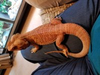20180422_121941.jpg