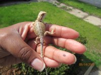 IMG_7082.jpg