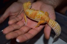 DSC_0240.jpg