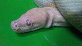 20180308_223638.jpg
