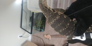 20170811_164849.jpg