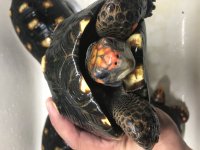 2D36E701-0FA3-446D-8968-55F6A3E04903.jpg
