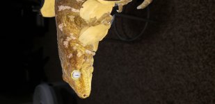 20180423_212147.jpg
