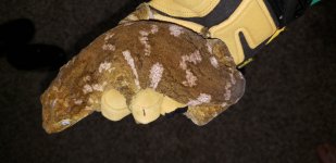 20180423_212159.jpg