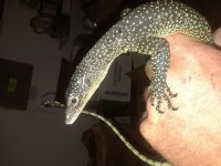 20180415_224413.jpg