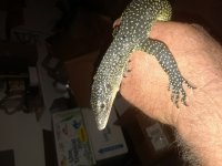20180415_224337.jpg