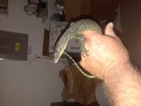 20180415_224409.jpg