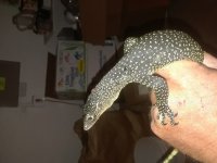 20180415_224402.jpg