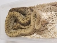 20180509_102618.jpg