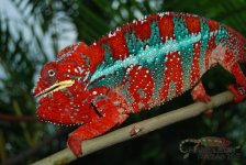IMG_1763.JPG