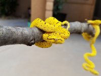 20180422_174310.jpg