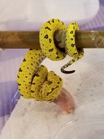 20180425_001124.jpg
