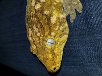 20180213_183330.jpg