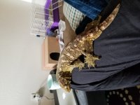 20180202_104955.jpg