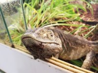 20170702_152259.jpg