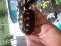 20180523_110154.jpg