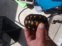20180523_110147.jpg