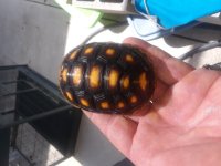 20180523_110133.jpg