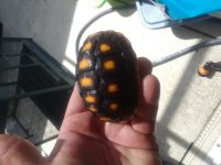 20180523_110123.jpg