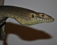 Pic # 4.jpg