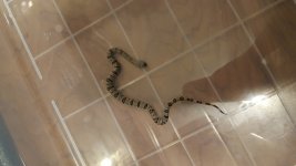 20171008_193057.jpg