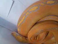 20180110_140623.jpg