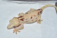 DSC_0341.jpg