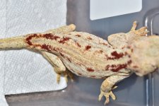 DSC_0343.jpg