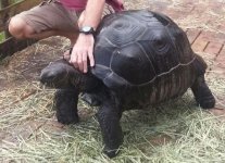 aldabra.jpg