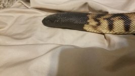 20170929_115112.jpg