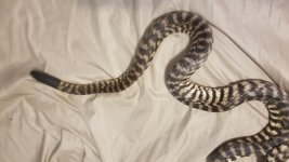 20170929_115037.jpg
