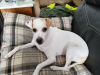 20180213_131253.jpg