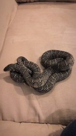 IMG_4852.jpg