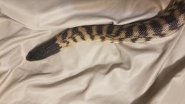 20170929_115117.jpg