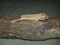 20170902_190555.jpg