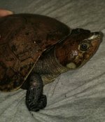 1020171209-1.jpg