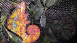 20170623_231954.jpg