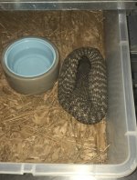 IMG_7028.jpg