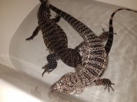 20161001_025538.jpg