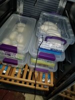 20180428_013845.jpg