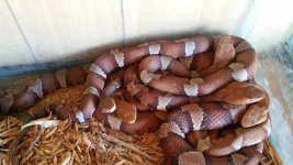 20171130_140356.jpg