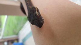 20170816_164631.jpg