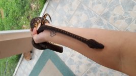 20170816_164627.jpg