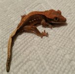 IMG_20171119_002256.jpg