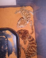 IMG_20180414_095504_654.jpg