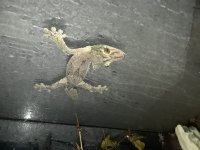 20180407_035519.jpg