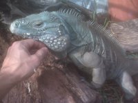 thumbnail.jpg