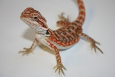 220C618A-CCD5-47EF-9CF9-9E03209958BE.jpg