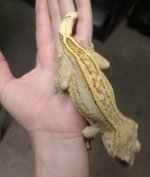 IMG_20171018_075504.jpg