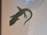 IMG_6143.jpg